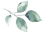 leaf.png